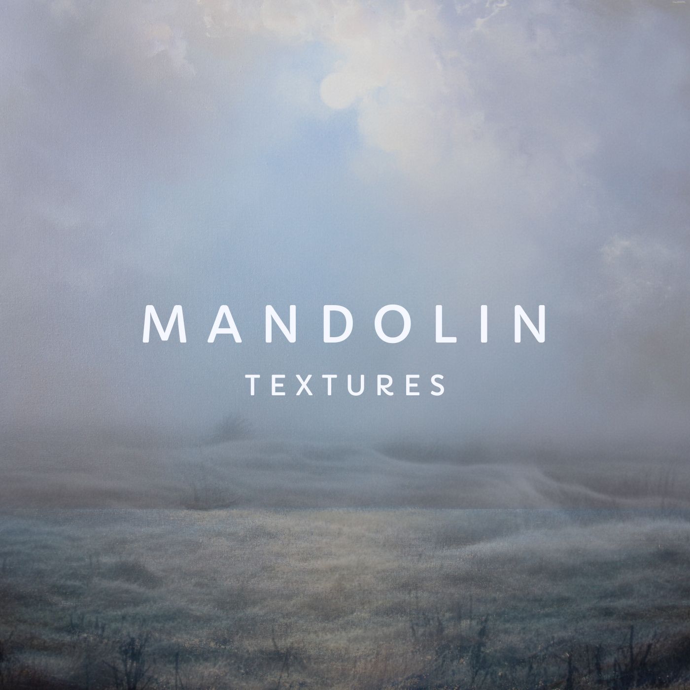 Mandolin Textures