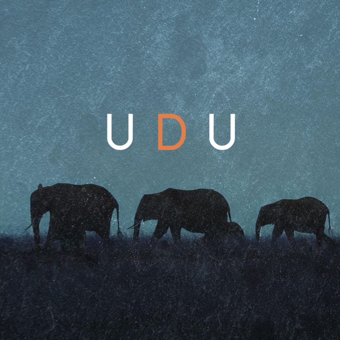 UDU